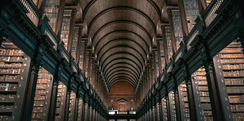Walking Tour with Entrance to the Book of Kells