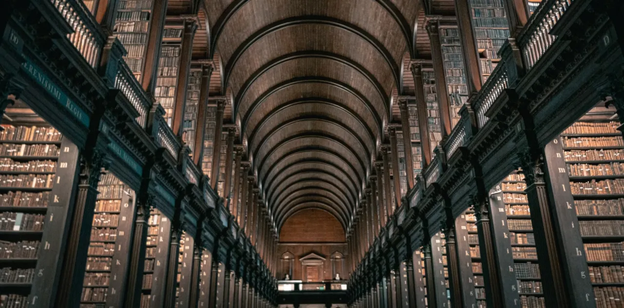 Dublin Walking Tour with Entrance to the Book of Kells