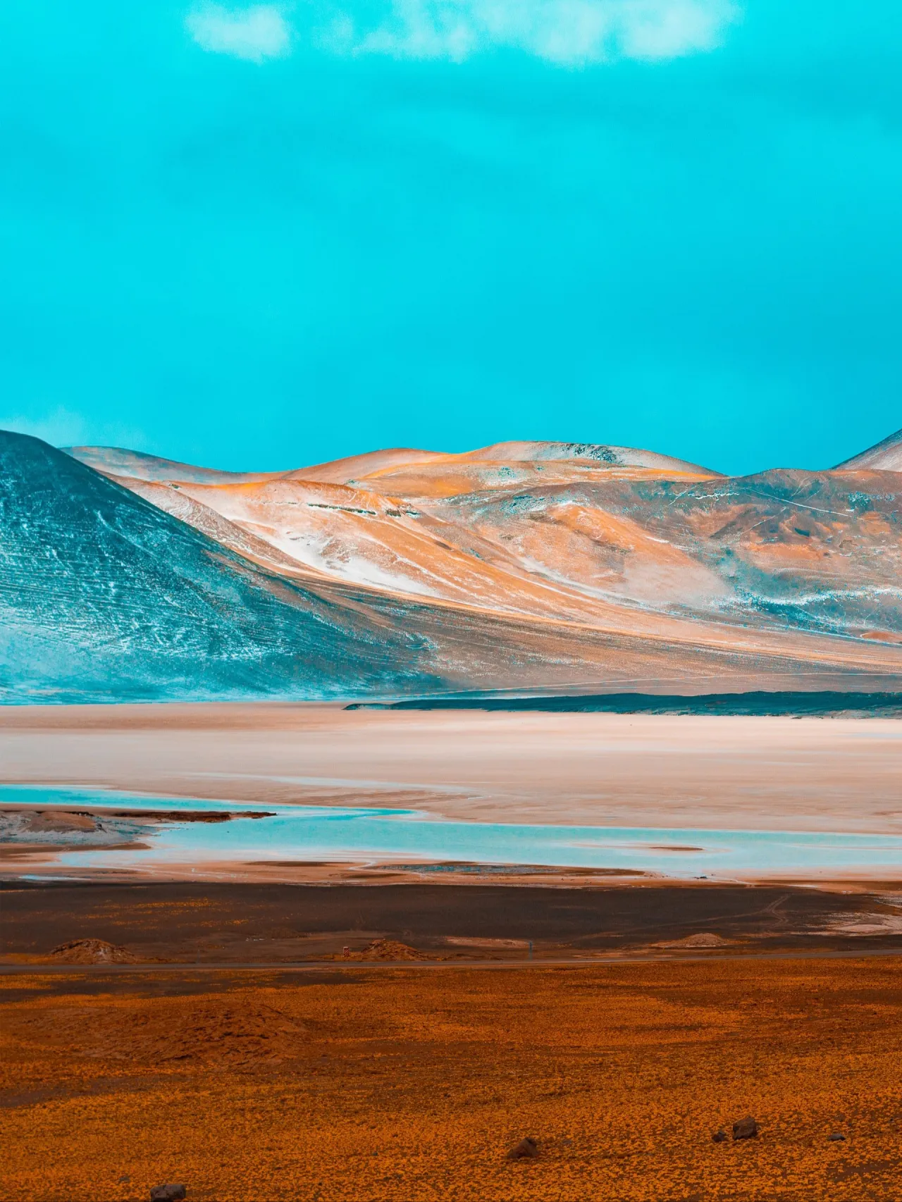Colors of Atacama: Piedras Rojas and Beyond