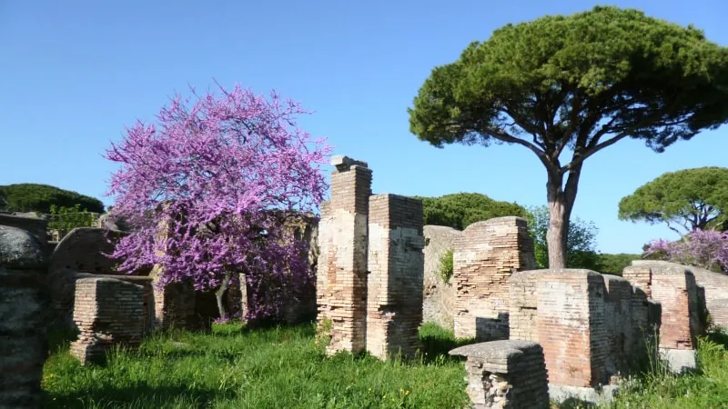 Tour of Ostia Antica with Private Driver