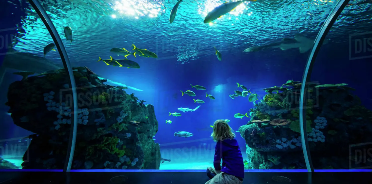 The Blue Planet National Aquarium with Private Transfers