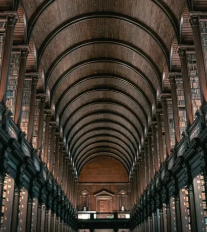 Walking Tour with Entrance to the Book of Kells