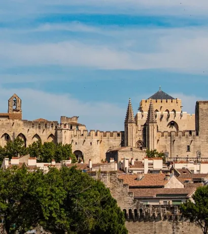 Full Day Group Tour to Provence and Avignon