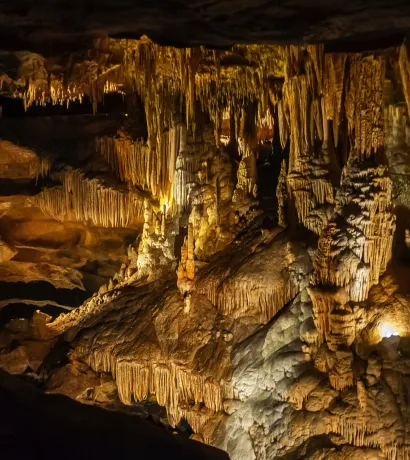 Cradle of Humankind & Sterkfontein Caves Tour