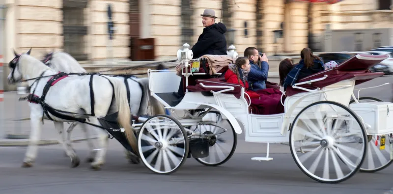 Horse-drawn Carriage Ride