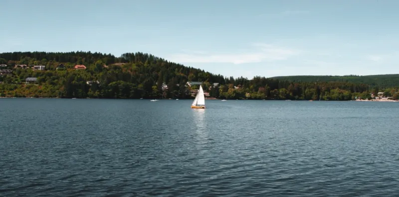 Cruise on Titisee Lake (Journey by Car)