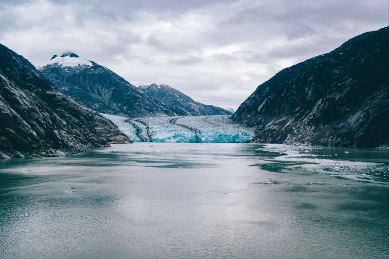 Bear Glacier Iceberg Kayaking