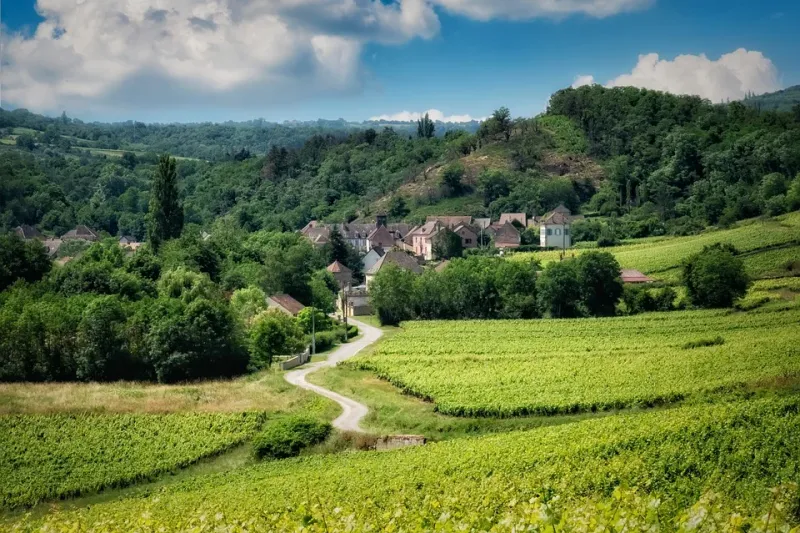 Full Day Private Tour to Burgundy